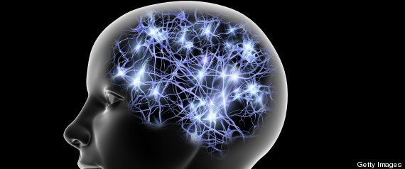 read in details How Does the Brain Generates Consciousness?