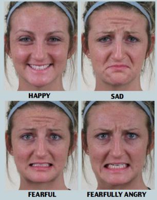List of Human Facial Expressions